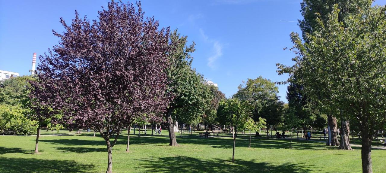 Aurelia'S Comfy Place With Free Parking Ζάγκρεμπ Εξωτερικό φωτογραφία